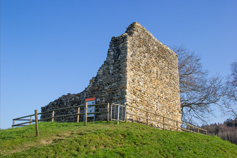 Die Ruine Anwil 2020