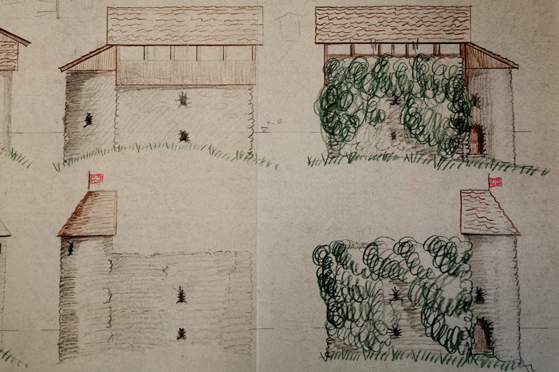 Pläne Umbau Ruine Anwil 1952