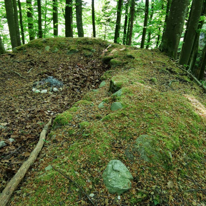 Überreste Wunnenberg 2020